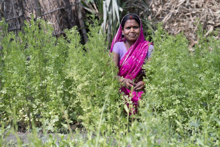 Srikanti Devi's Story